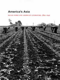 Omslagafbeelding: America's Asia 9780691114187