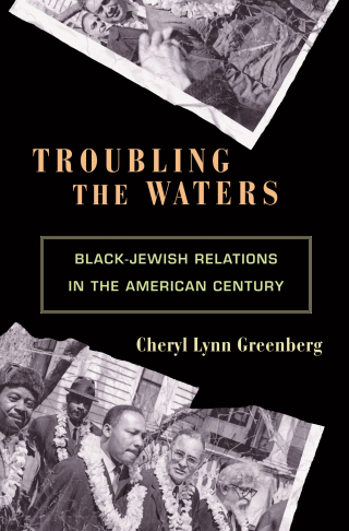 Cover image: Troubling the Waters 9780691146164