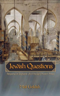 Omslagafbeelding: Jewish Questions 9780691122656