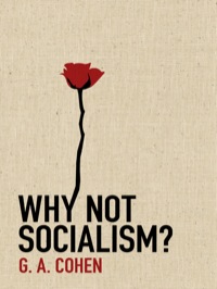 Omslagafbeelding: Why Not Socialism? 9780691143613