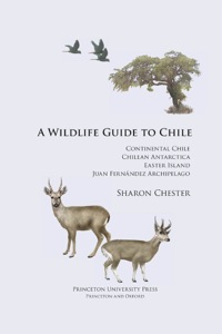 Immagine di copertina: A Wildlife Guide to Chile 9780691129761