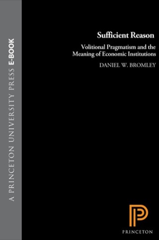 Cover image: Sufficient Reason 9780691124193