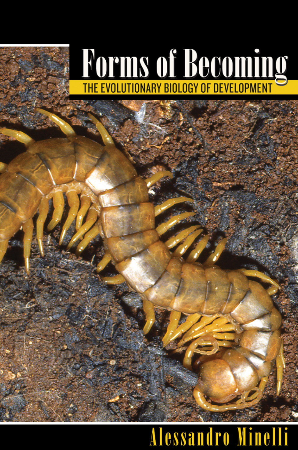 Forms of Becoming The Evolutionary Biology of Development