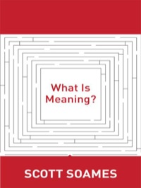 صورة الغلاف: What Is Meaning? 9780691146409
