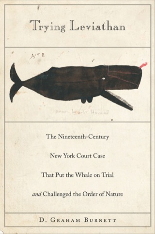 Imagen de portada: Trying Leviathan 9780691146157
