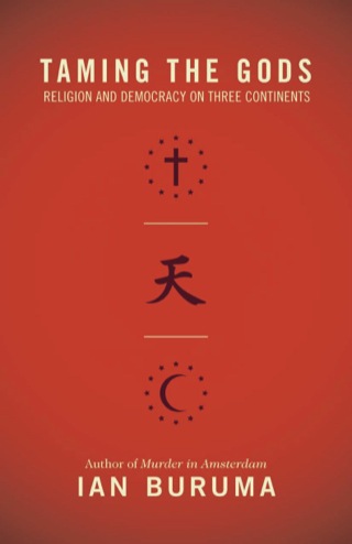 表紙画像: Taming the Gods 9780691156057