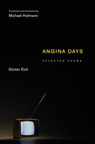 Cover image: Angina Days 9780691144979