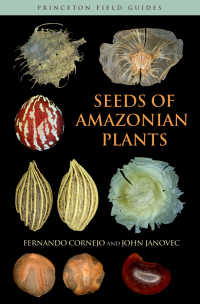 表紙画像: Seeds of Amazonian Plants 9780691119298