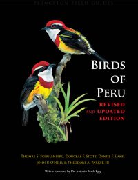 صورة الغلاف: Birds of Peru 9780691130231