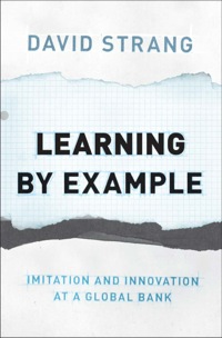 Immagine di copertina: Learning by Example 9780691171197