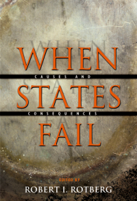 Omslagafbeelding: When States Fail 9780691116716