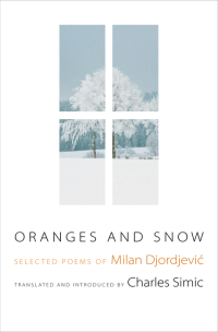 Omslagafbeelding: Oranges and Snow 9780691142463