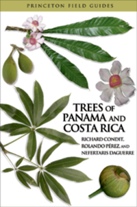 表紙画像: Trees of Panama and Costa Rica 9780691147109