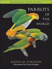 صورة الغلاف: Parrots of the World 9780691142852