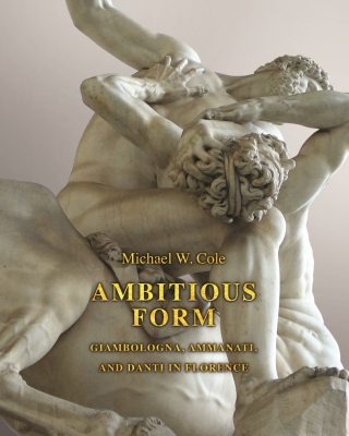 Cover image: Ambitious Form 9780691147444