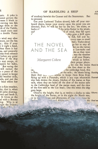 Cover image: The Novel and the Sea 9780691140650