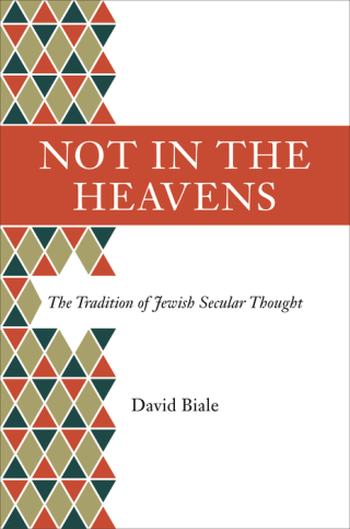 表紙画像: Not in the Heavens 9780691168043