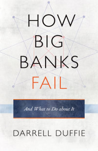 Imagen de portada: How Big Banks Fail and What to Do about It 9780691148854