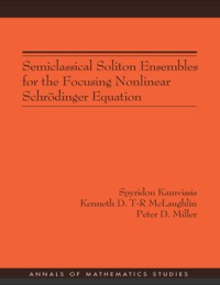 Immagine di copertina: Semiclassical Soliton Ensembles for the Focusing Nonlinear Schrödinger Equation (AM-154) 9780691114828