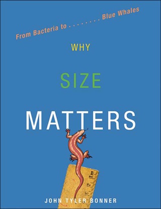 Omslagafbeelding: Why Size Matters 9780691152332