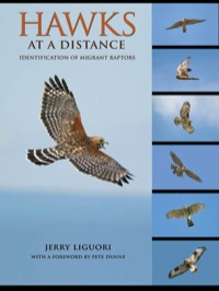Immagine di copertina: Hawks at a Distance 9780691135595