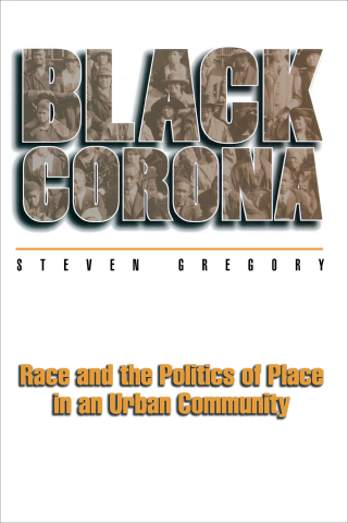 Cover image: Black Corona 9780691017396