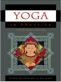 صورة الغلاف: Yoga in Practice 9780691140858