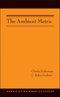 Imagen de portada: The Ambient Metric (AM-178) 9780691153131
