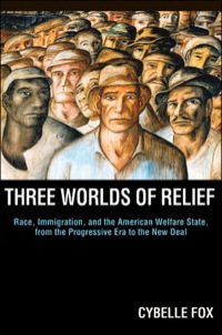 Cover image: Three Worlds of Relief 9780691152233