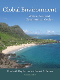 Titelbild: Global Environment 2nd edition 9780691136783