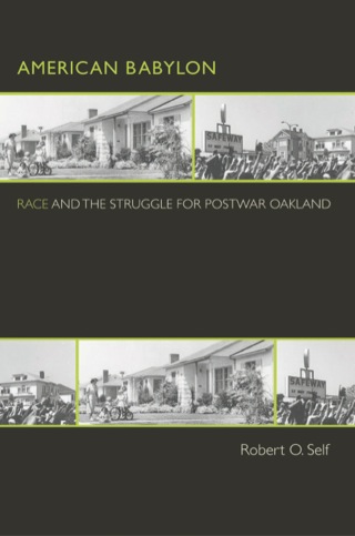 Cover image: American Babylon 9780691070261