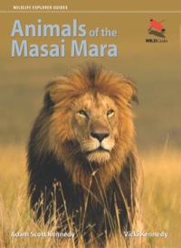 表紙画像: Animals of the Masai Mara 9780691156019