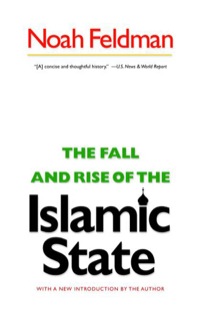 Imagen de portada: The Fall and Rise of the Islamic State 9780691156248