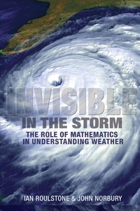 Cover image: Invisible in the Storm 9780691152721