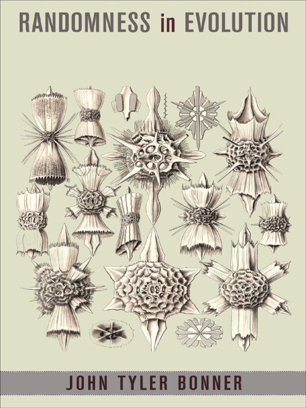 Randomness in Evolution (eBook)