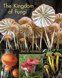 Omslagafbeelding: The Kingdom of Fungi 9780691157542