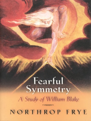 Imagen de portada: Fearful Symmetry 9780691012919