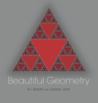 صورة الغلاف: Beautiful Geometry 9780691175881