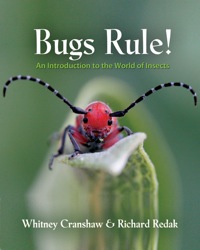 Cover image: Bugs Rule! 9780691124957