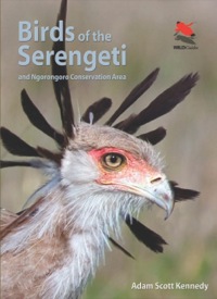 Cover image: Birds of the Serengeti 9780691159102