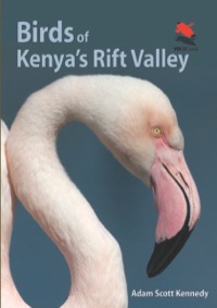 صورة الغلاف: Birds of Kenya's Rift Valley 9780691159072