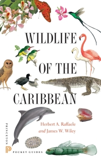 Cover image: Wildlife of the Caribbean 9780691153827