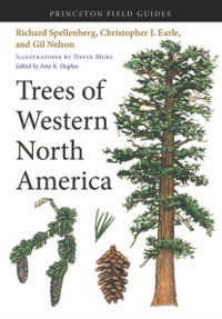 Titelbild: Trees of Western North America 9780691145808