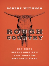 Omslagafbeelding: Rough Country 9780691169309