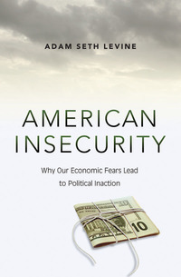 Cover image: American Insecurity 9780691176246