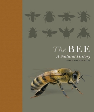 Cover image: The Bee 9780691182476