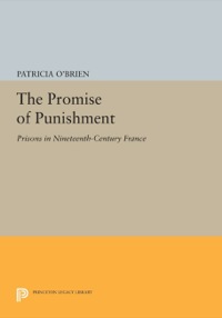Omslagafbeelding: The Promise of Punishment 9780691614519