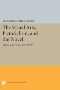 Omslagafbeelding: The Visual Arts, Pictorialism, and the Novel 9780691066448