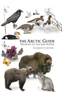 صورة الغلاف: The Arctic Guide 9780691139753