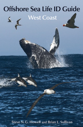 Cover image: Offshore Sea Life ID Guide 9780691166131